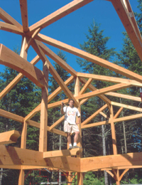 Timber Frames